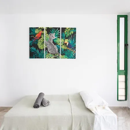 Gasthuis Black Cat Surf House 1 D *